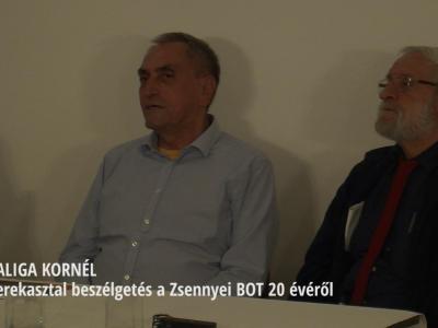 XX. BOT konferencia, Zennye